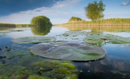 Donaudelta Impressionen