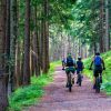 Ebike Tour durch den Wald