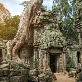 Angkor Wat Tempel Kambodscha
