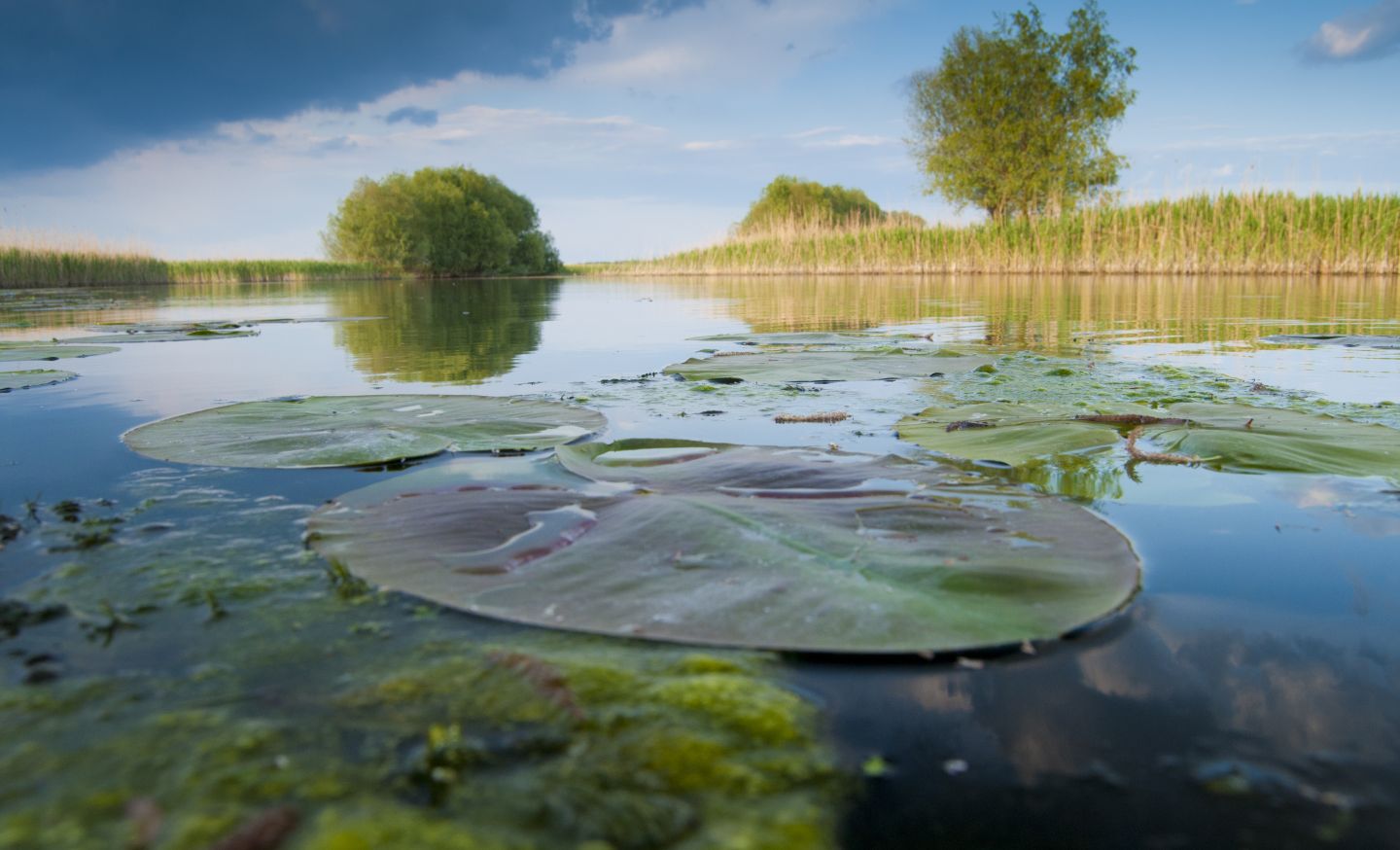 Donaudelta Impressionen