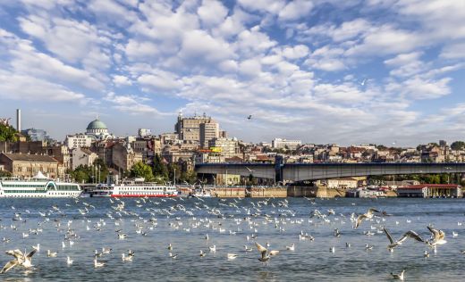 Belgrad mit Vogelschwarm auf der Donau