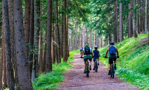 Ebike Tour durch den Wald