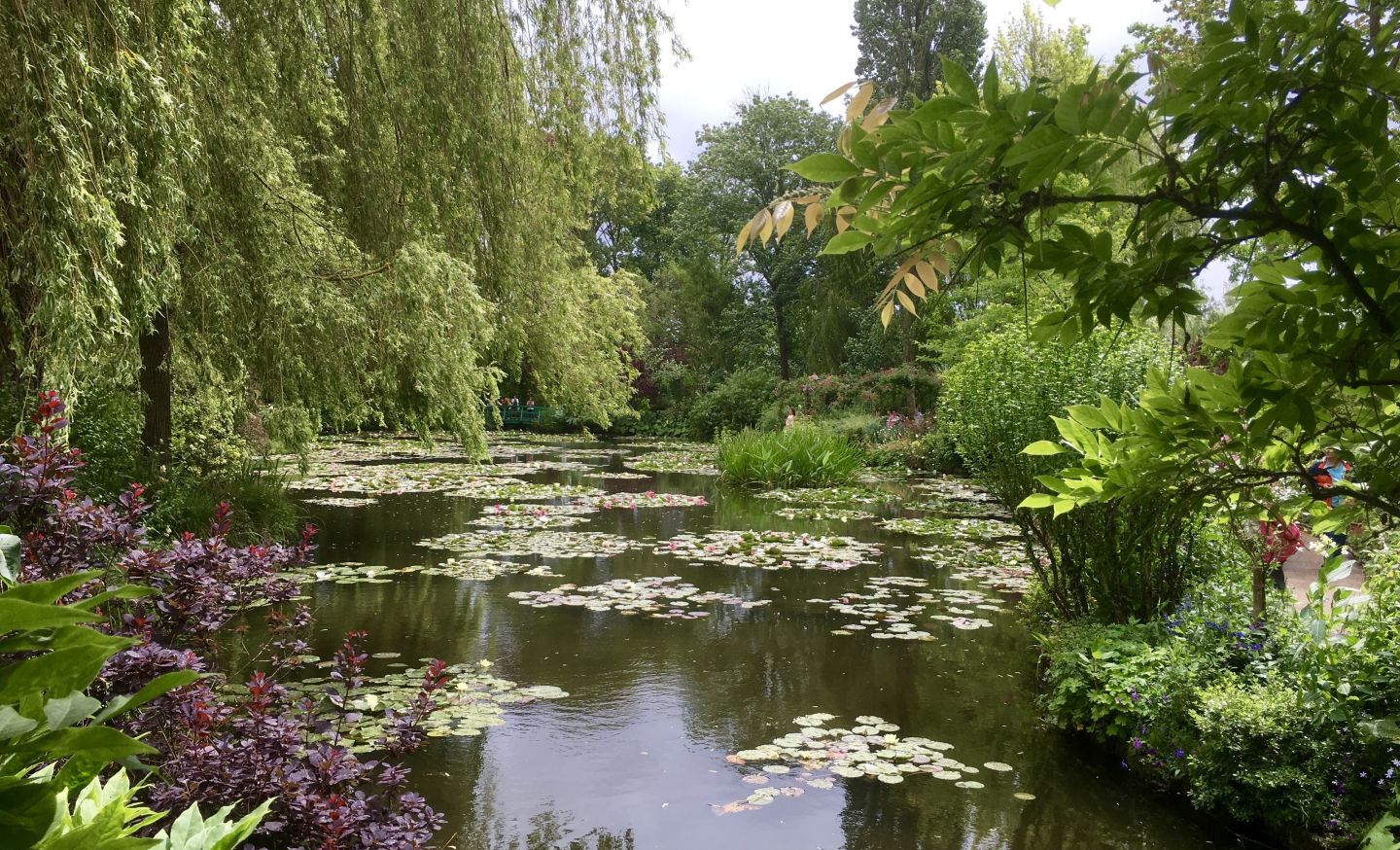 Monet Garten