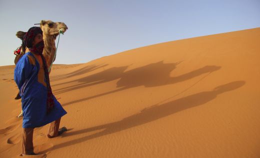 D&uuml;nen in W&uuml;ste Impressionen