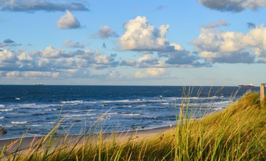 Ostsee Strand Mit schilf