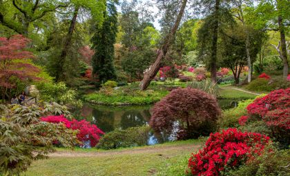 Exbury Garden