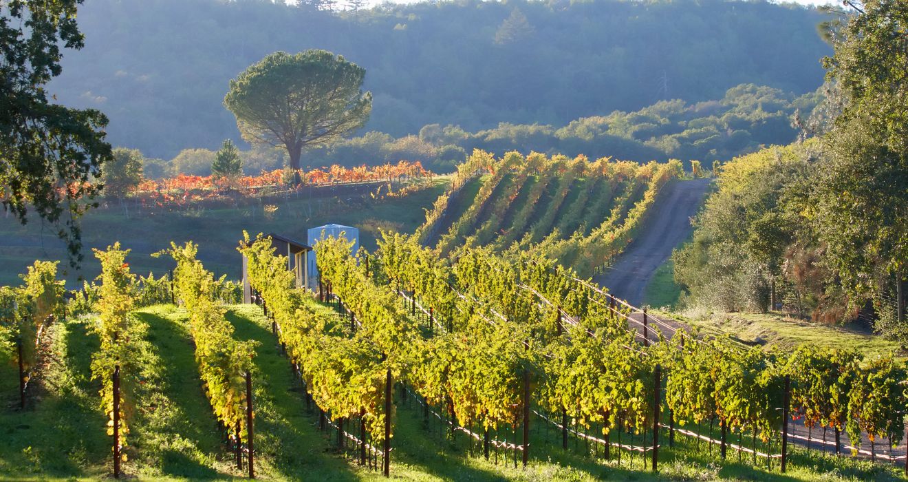 Burgunder Weinstra&szlig;e