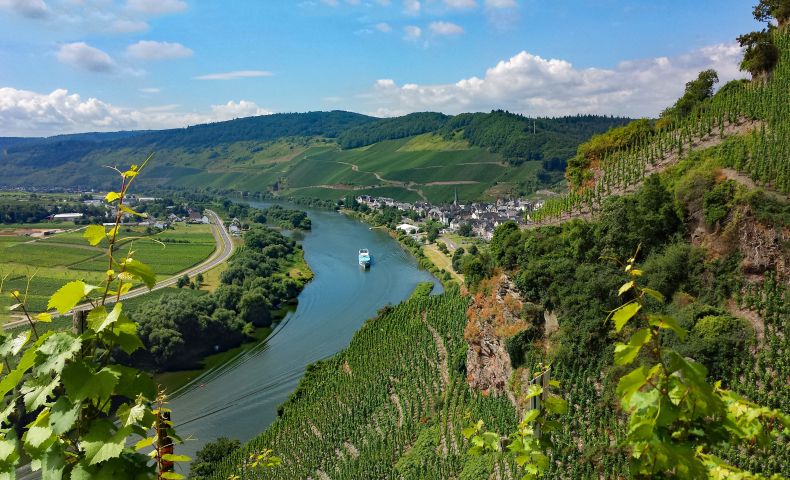 Blick auf die Mosel auf Urzig