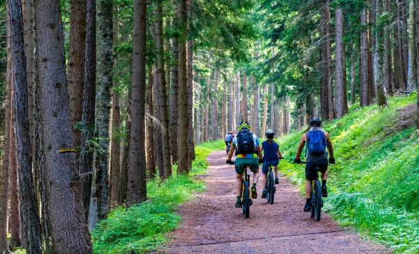 Ebike Tour durch den Wald